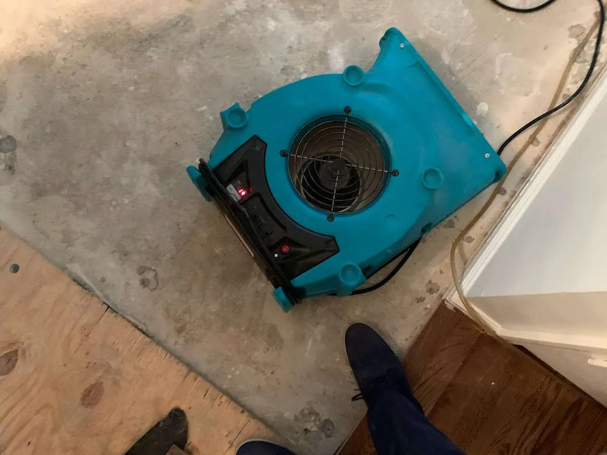 Air mover drying subfloor during Commercial Water Damage Restoration in Anacortes